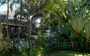 OniriqProperty-OPCG034-24