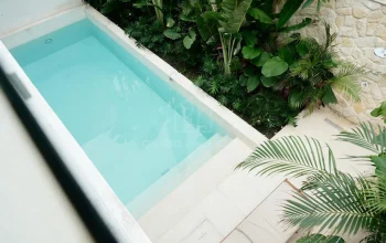 OniriqProperty-OPCG043-61
