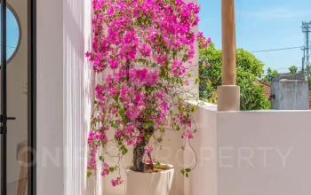 OniriqProperty-OPPR038-64