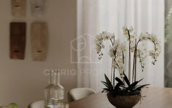 OniriqProperty-OPUB028-49