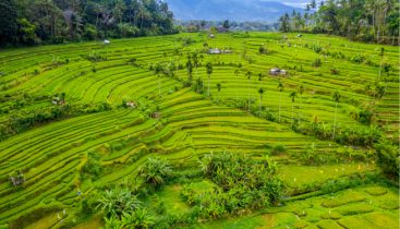 Ubud-Local-Area-2